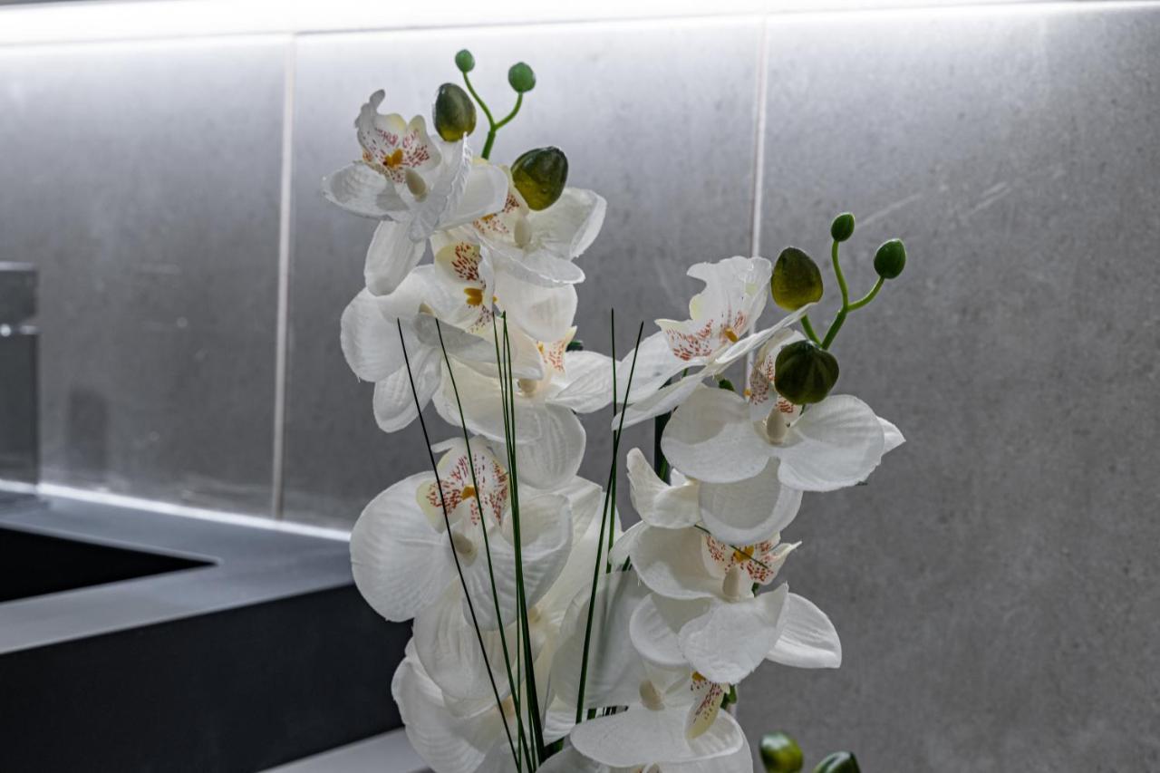 Foral Dreams Βίλα Fajã de Cima Εξωτερικό φωτογραφία